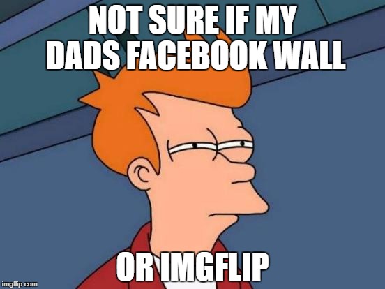 Futurama Fry Meme | NOT SURE IF MY DADS FACEBOOK WALL; OR IMGFLIP | image tagged in memes,futurama fry | made w/ Imgflip meme maker