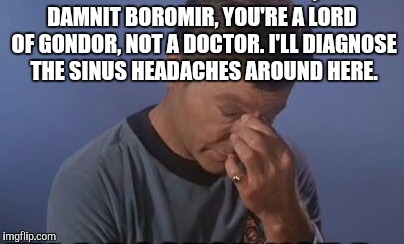 DAMNIT BOROMIR, YOU'RE A LORD OF GONDOR, NOT A DOCTOR. I'LL DIAGNOSE THE SINUS HEADACHES AROUND HERE. | made w/ Imgflip meme maker