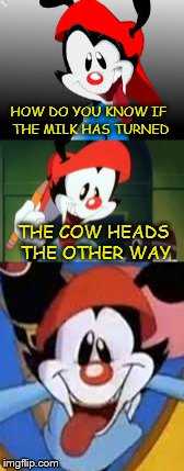 Bad Pun Wakko - Cartoon Week a JuicyDeath1025 Event | HOW DO YOU KNOW IF THE MILK HAS TURNED; THE COW HEADS THE OTHER WAY | image tagged in bad pun wakko,cartoon week | made w/ Imgflip meme maker