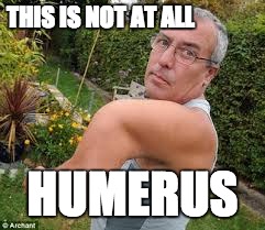 broken arm Bob | THIS IS NOT AT ALL; HUMERUS | image tagged in broken arm bob | made w/ Imgflip meme maker