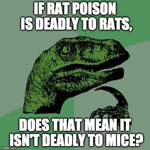 Philosoraptor | IF RAT POISON IS DEADLY TO RATS, DOES THAT MEAN IT ISN'T DEADLY TO MICE? | image tagged in memes,philosoraptor | made w/ Imgflip meme maker