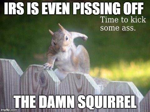 IRS IS EVEN PISSING OFF; THE DAMN SQUIRREL | image tagged in ass kickin,squirrel,irs,netspend,memes | made w/ Imgflip meme maker