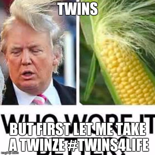 wow | TWINS; BUT FIRST LET ME TAKE A TWINZE #TWINS4LIFE | image tagged in donald trump | made w/ Imgflip meme maker