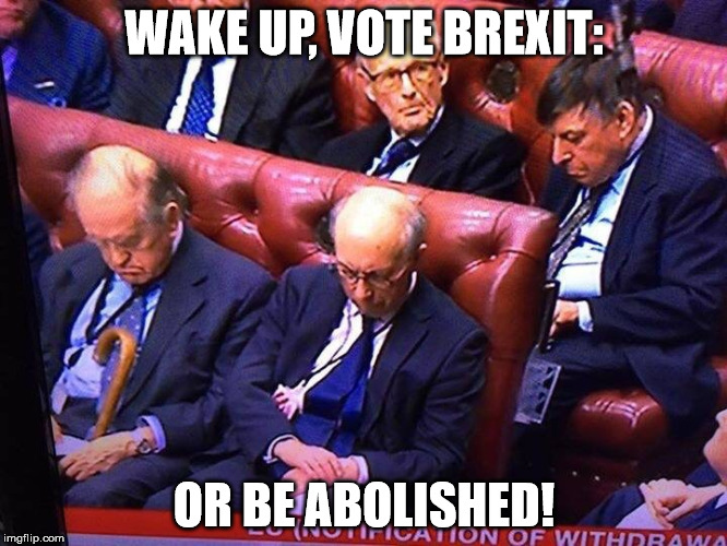 Sleeping Lords | WAKE UP, VOTE BREXIT:; OR BE ABOLISHED! | image tagged in lords,brexit,house of lords | made w/ Imgflip meme maker