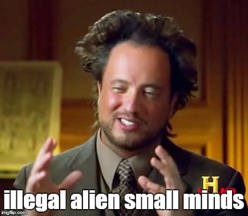 Ancient Aliens Meme | illegal alien small minds | image tagged in memes,ancient aliens | made w/ Imgflip meme maker