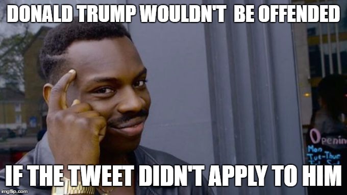The profound advice | DONALD TRUMP WOULDN'T  BE OFFENDED; IF THE TWEET DIDN'T APPLY TO HIM | image tagged in the profound advice | made w/ Imgflip meme maker