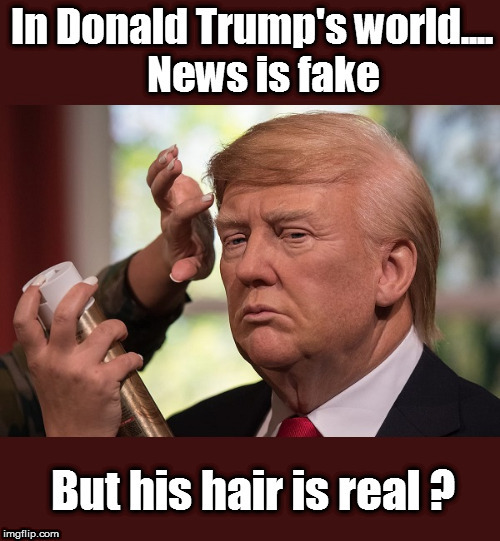 Really? | image tagged in trump,trump's hair,fake news | made w/ Imgflip meme maker