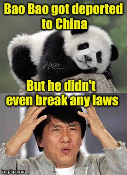 Living in a cage while people gawk at you. That's a job most Americans won't do.  | Bao Bao got deported to China; But he didn't even break any laws | image tagged in panda,immigration | made w/ Imgflip meme maker
