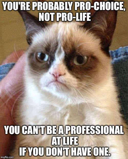 More bad puns that do NOT state my political opinion  | YOU'RE PROBABLY PRO-CHOICE, NOT PRO-LIFE; YOU CAN'T BE A PROFESSIONAL AT LIFE IF YOU DON'T HAVE ONE. | image tagged in memes,grumpy cat | made w/ Imgflip meme maker