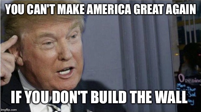 Roll safe Trump edition | YOU CAN'T MAKE AMERICA GREAT AGAIN; IF YOU DON'T BUILD THE WALL | image tagged in roll safe trump edition | made w/ Imgflip meme maker