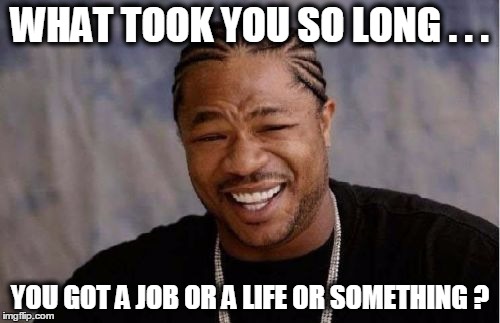 Yo Dawg Heard You Meme | WHAT TOOK YOU SO LONG . . . YOU GOT A JOB OR A LIFE OR SOMETHING ? | image tagged in memes,yo dawg heard you | made w/ Imgflip meme maker