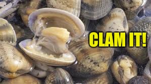Clam it | CLAM IT! | image tagged in angery clam | made w/ Imgflip meme maker