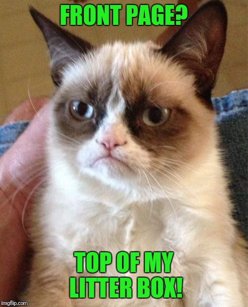 Grumpy Cat | FRONT PAGE? TOP OF MY LITTER BOX! | image tagged in memes,grumpy cat | made w/ Imgflip meme maker