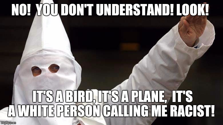 NO!  YOU DON'T UNDERSTAND! LOOK! IT'S A BIRD, IT'S A PLANE,  IT'S A WHITE PERSON CALLING ME RACIST! | image tagged in lance's law because godwin's law doesn't apply to facebook | made w/ Imgflip meme maker