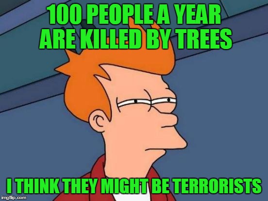 Futurama Fry Meme | 100 PEOPLE A YEAR ARE KILLED BY TREES I THINK THEY MIGHT BE TERRORISTS | image tagged in memes,futurama fry | made w/ Imgflip meme maker