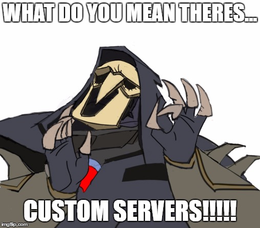 Reaper overwatch just right | WHAT DO YOU MEAN THERES... CUSTOM SERVERS!!!!! | image tagged in reaper overwatch just right | made w/ Imgflip meme maker