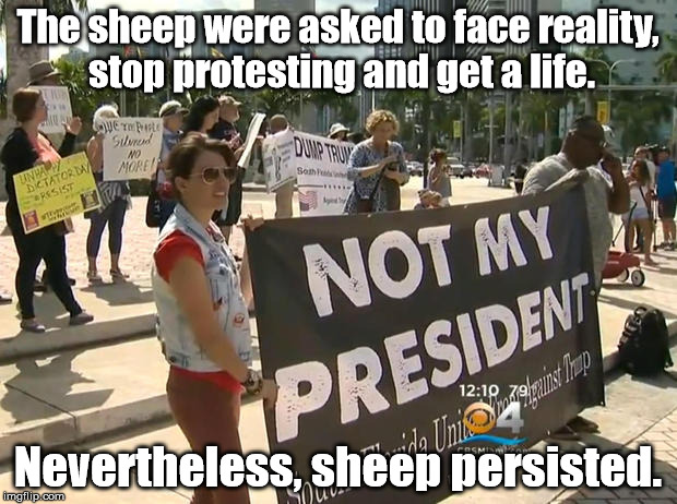 I specialize in obscure puns and rarely get votes. | The sheep were asked to face reality, stop protesting and get a life. Nevertheless, sheep persisted. | image tagged in donald trump | made w/ Imgflip meme maker
