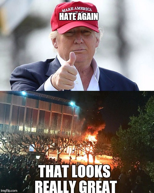 Make America HATE again | HATE AGAIN; THAT LOOKS REALLY GREAT | image tagged in make america great again,trump president,protesters,berkeley riots,political | made w/ Imgflip meme maker