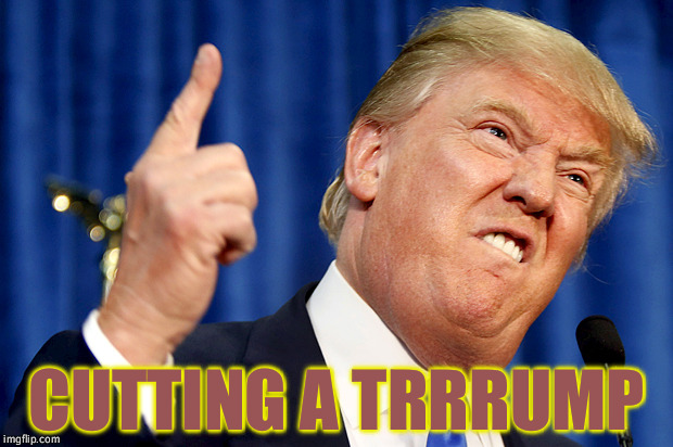 Donald Trump | CUTTING A TRRRUMP | image tagged in donald trump | made w/ Imgflip meme maker