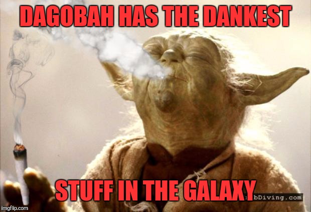 Star Wars meme... | DAGOBAH HAS THE DANKEST; STUFF IN THE GALAXY | image tagged in star wars meme | made w/ Imgflip meme maker