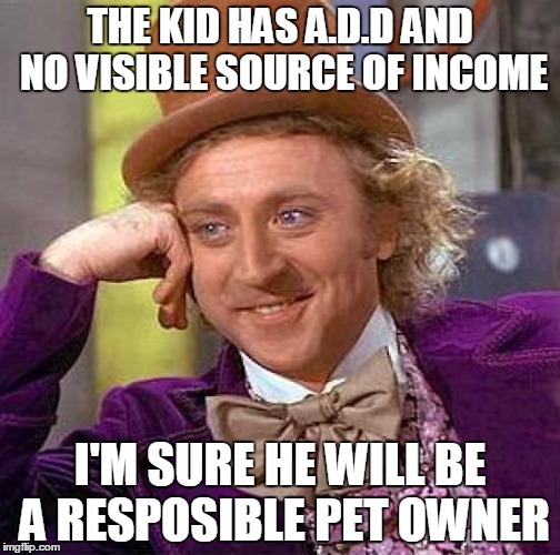 Creepy Condescending Wonka | THE KID HAS A.D.D AND NO VISIBLE SOURCE OF INCOME; I'M SURE HE WILL BE A RESPOSIBLE PET OWNER | image tagged in memes,creepy condescending wonka | made w/ Imgflip meme maker