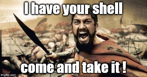 Sparta Leonidas Meme | I have your shell come and take it ! | image tagged in memes,sparta leonidas | made w/ Imgflip meme maker