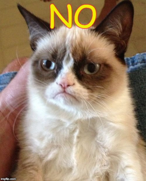 The very first Grumpy Cat meme... Those were the days! |  NO | image tagged in lol,meme,grumpy cat,classic | made w/ Imgflip meme maker