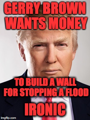 Donald Trump |  GERRY BROWN WANTS MONEY; TO BUILD A WALL FOR STOPPING A FLOOD; IRONIC | image tagged in donald trump | made w/ Imgflip meme maker