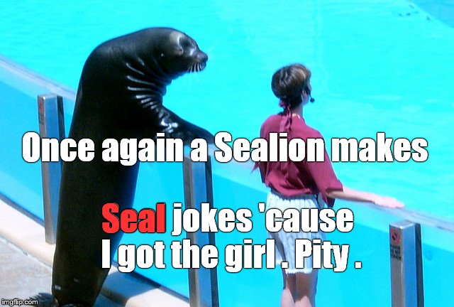 Seal versus Sealion: THEY can tell the difference. And so can the ladies. (Just kidding.) | Once again a Sealion makes; Seal; Seal jokes 'cause I got the girl . Pity . | image tagged in seal gets the girl,awkward sealion put down,qsealions are jealous,seal jokes | made w/ Imgflip meme maker