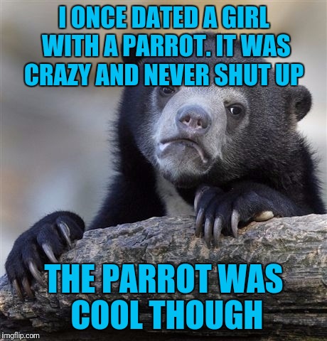 Confession Bear Meme | I ONCE DATED A GIRL WITH A PARROT. IT WAS CRAZY AND NEVER SHUT UP; THE PARROT WAS COOL THOUGH | image tagged in memes,confession bear | made w/ Imgflip meme maker