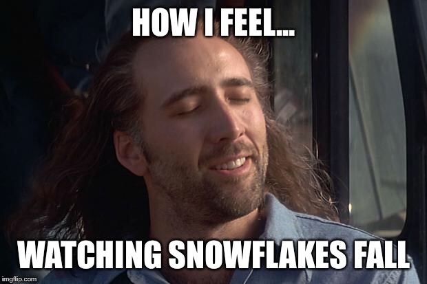 Falling Snowflakes  | HOW I FEEL... WATCHING SNOWFLAKES FALL | image tagged in nicholas cage | made w/ Imgflip meme maker