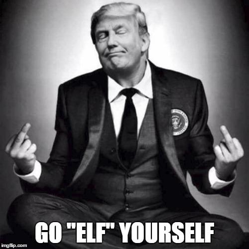 GO "ELF" YOURSELF | image tagged in donald trump | made w/ Imgflip meme maker