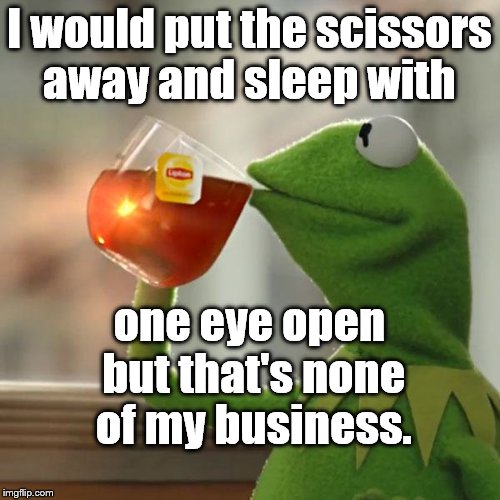 But That's None Of My Business Meme | I would put the scissors away and sleep with one eye open but that's none of my business. | image tagged in memes,but thats none of my business,kermit the frog | made w/ Imgflip meme maker