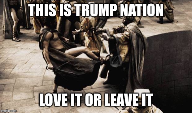 Snowflakes  | THIS IS TRUMP NATION; LOVE IT OR LEAVE IT | image tagged in madness - this is sparta | made w/ Imgflip meme maker