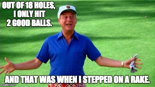 Rodney | OUT OF 18 HOLES, I ONLY HIT 2 GOOD BALLS. AND THAT WAS WHEN I STEPPED ON A RAKE. | image tagged in rodney | made w/ Imgflip meme maker