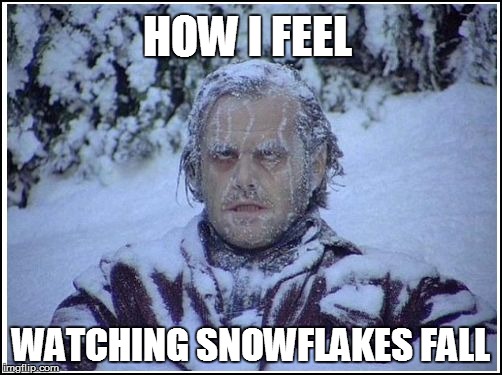HOW I FEEL WATCHING SNOWFLAKES FALL | made w/ Imgflip meme maker