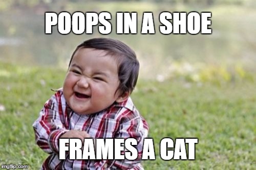 Evil Toddler | POOPS IN A SHOE; FRAMES A CAT | image tagged in memes,evil toddler | made w/ Imgflip meme maker