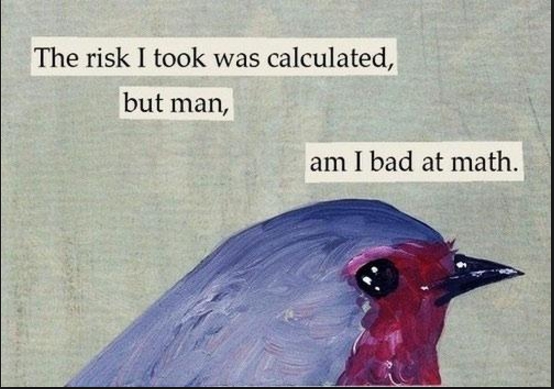 High Quality Calculated risk birb Blank Meme Template