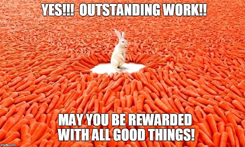 Rabbit | YES!!!  OUTSTANDING WORK!! MAY YOU BE REWARDED WITH ALL GOOD THINGS! | image tagged in rabbit | made w/ Imgflip meme maker