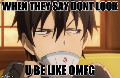 Sword Art Online | WHEN THEY SAY DONT LOOK; U BE LIKE OMFG | image tagged in sword art online | made w/ Imgflip meme maker