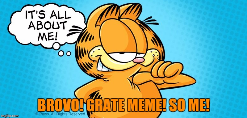 The approving Garfield | BROVO! GRATE MEME! SO ME! | image tagged in garfield | made w/ Imgflip meme maker
