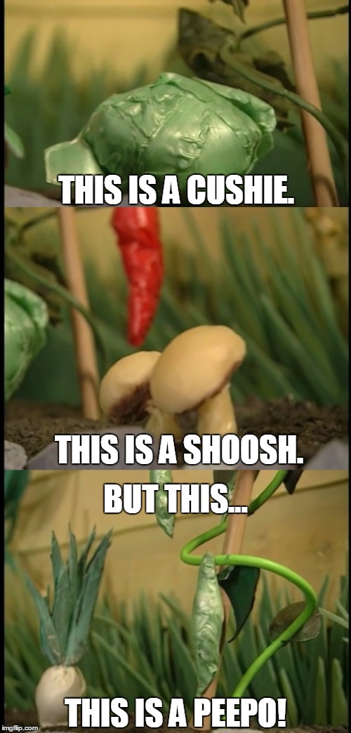 This is a peepo! | THIS IS A CUSHIE. THIS IS A SHOOSH. BUT THIS... THIS IS A PEEPO! | image tagged in nasa,peepo,memes,funny,cushie,shoosh | made w/ Imgflip meme maker