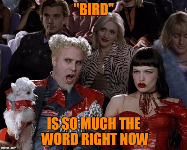 Mugatu So Hot Right Now Meme | "BIRD" IS SO MUCH THE WORD RIGHT NOW | image tagged in memes,mugatu so hot right now | made w/ Imgflip meme maker