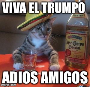 Mexican Cat | VIVA EL TRUMPO; ADIOS AMIGOS | image tagged in mexican cat | made w/ Imgflip meme maker