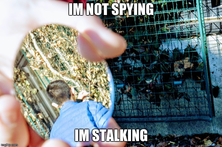 IM NOT SPYING; IM STALKING | image tagged in stalker | made w/ Imgflip meme maker