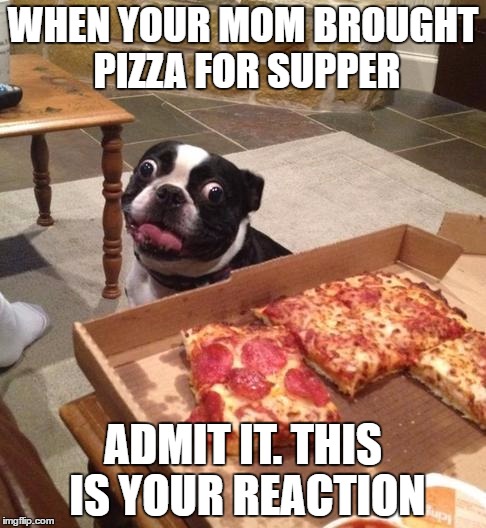 Hungry Pizza Dog | WHEN YOUR MOM BROUGHT PIZZA FOR SUPPER; ADMIT IT. THIS IS YOUR REACTION | image tagged in hungry pizza dog | made w/ Imgflip meme maker