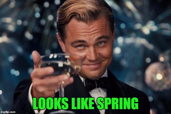 Leonardo Dicaprio Cheers Meme | LOOKS LIKE SPRING | image tagged in memes,leonardo dicaprio cheers | made w/ Imgflip meme maker
