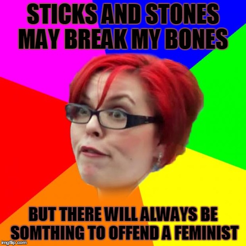 angry feminist | STICKS AND STONES MAY BREAK MY BONES; BUT THERE WILL ALWAYS BE SOMTHING TO OFFEND A FEMINIST | image tagged in angry feminist | made w/ Imgflip meme maker
