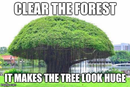 CLEAR THE FOREST; IT MAKES THE TREE LOOK HUGE | image tagged in body waxing,manscaping | made w/ Imgflip meme maker