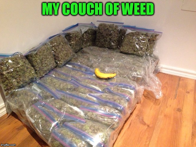MY COUCH OF WEED | image tagged in kushion | made w/ Imgflip meme maker